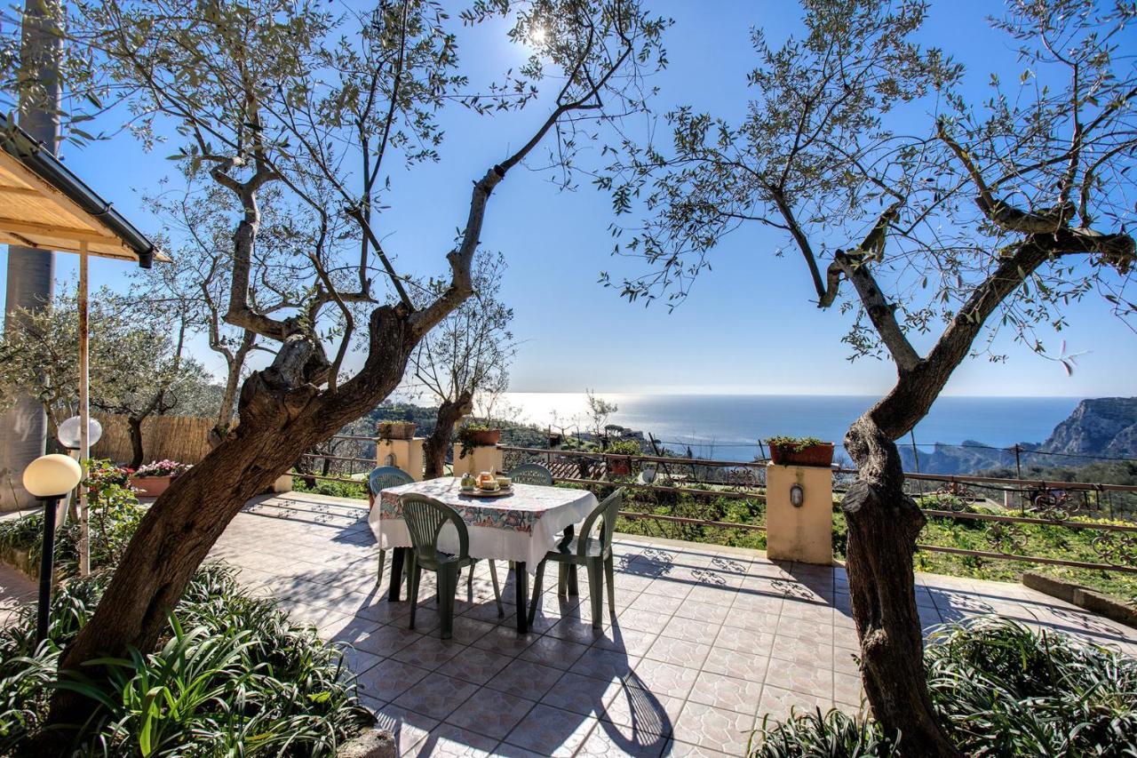 Il Pioppo - Country House Sea View Massa Lubrense Dış mekan fotoğraf