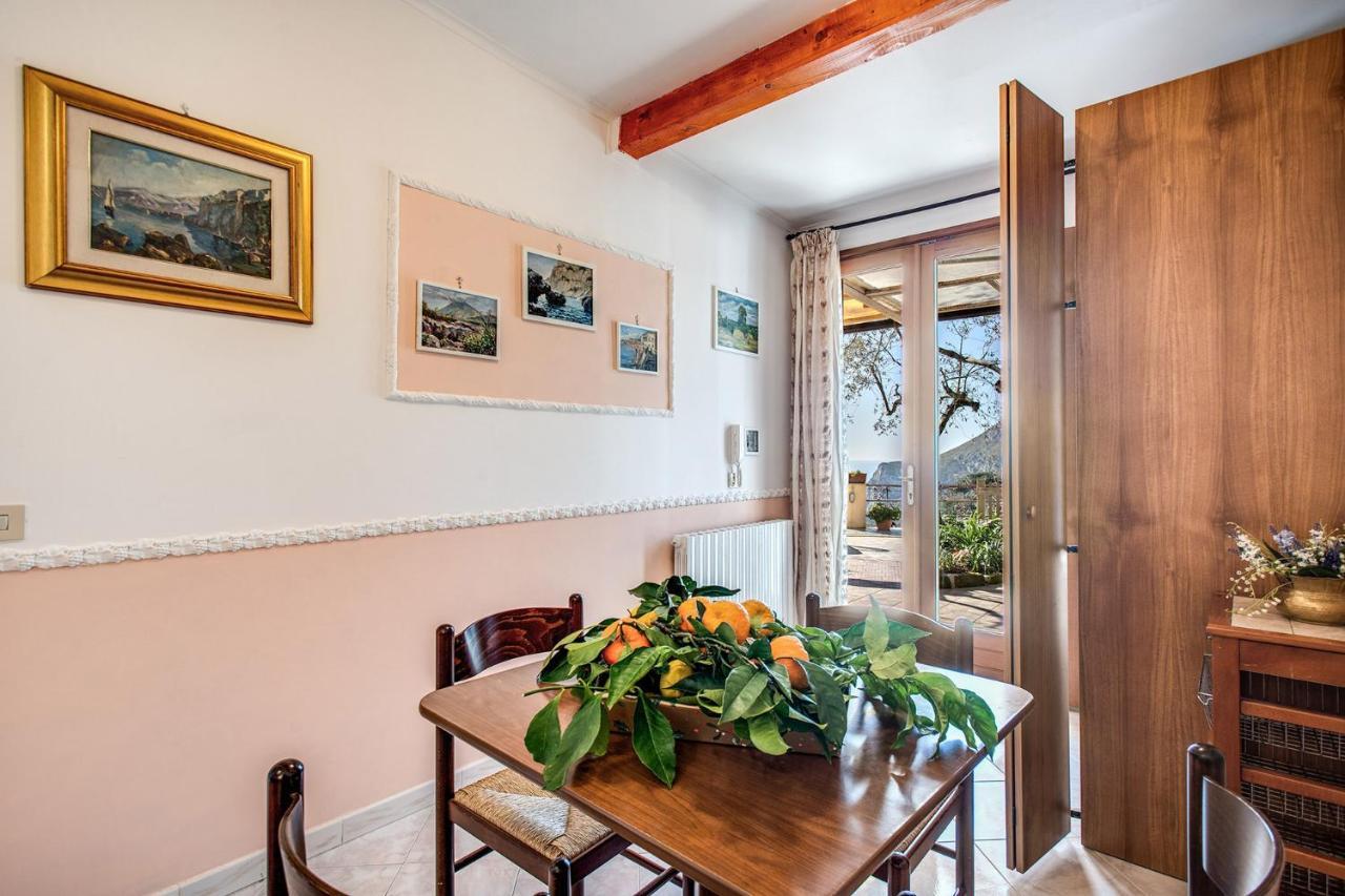 Il Pioppo - Country House Sea View Massa Lubrense Dış mekan fotoğraf